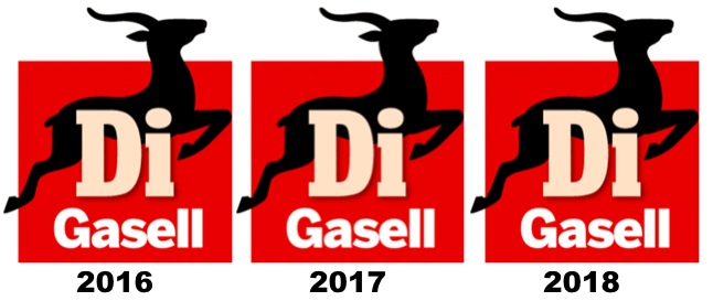 Vardagsfrid utsett till DI Gasellbolag för tredje året i rad